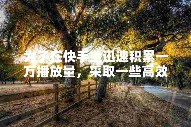 为了在快手上迅速积累一万播放量，采取一些高效的推广策略是至关重要的。