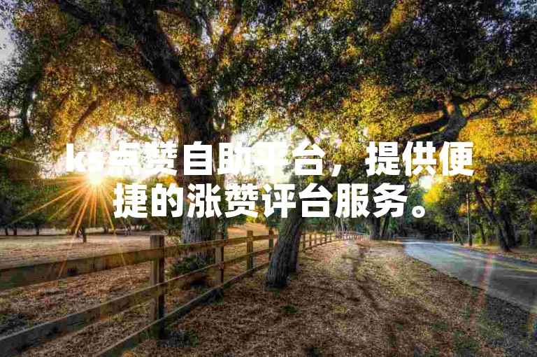 ks点赞自助平台，提供便捷的涨赞评台服务。