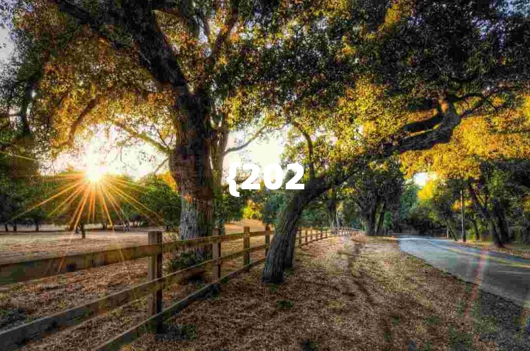 {2025多多助力群}拼多多助力成功的关键策略有哪些？