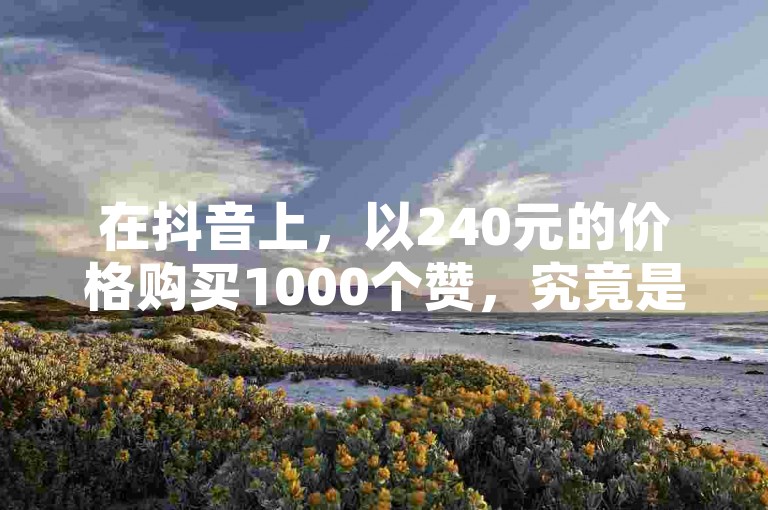 在抖音上，以240元的价格购买1000个赞，究竟是物超所值还是价格偏高？你会如何做出决策呢？