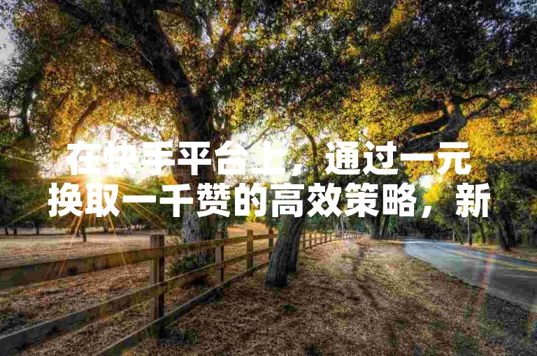在快手平台上，通过一元换取一千赞的高效策略，新用户可以迅速提升视频的曝光率和受欢迎程度。