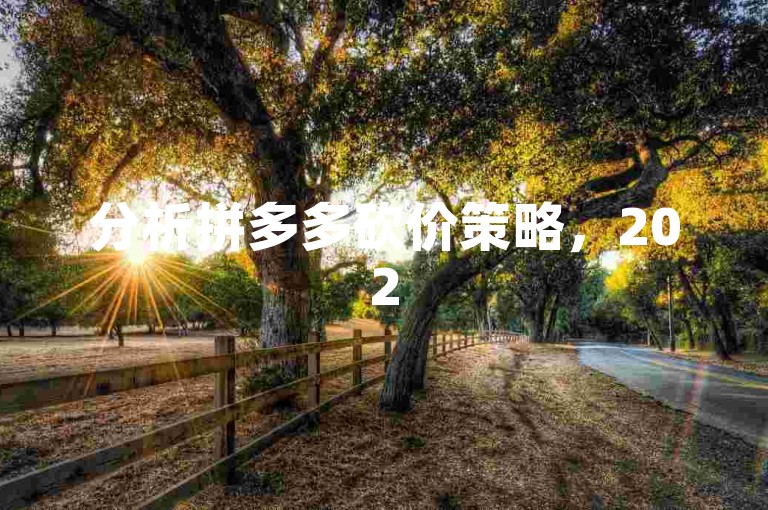 分析拼多多砍价策略，2025年后积分环节将维持多长时间？