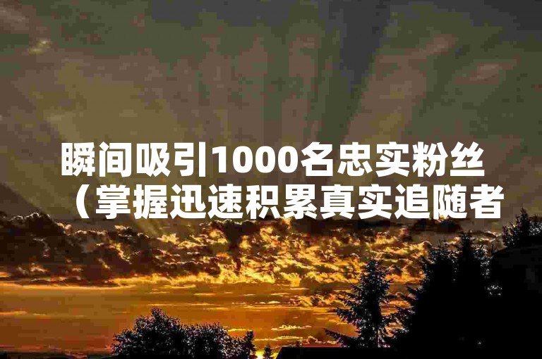 瞬间吸引1000名忠实粉丝（掌握迅速积累真实追随者的秘诀）。