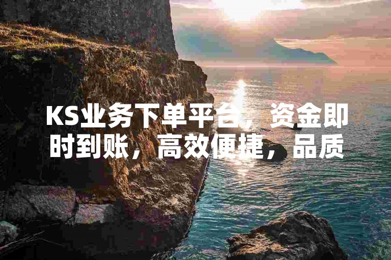 KS业务下单平台，资金即时到账，高效便捷，品质卓越！新手首选！
