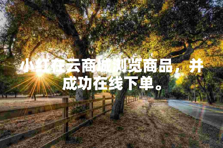 小红在云商城浏览商品，并成功在线下单。