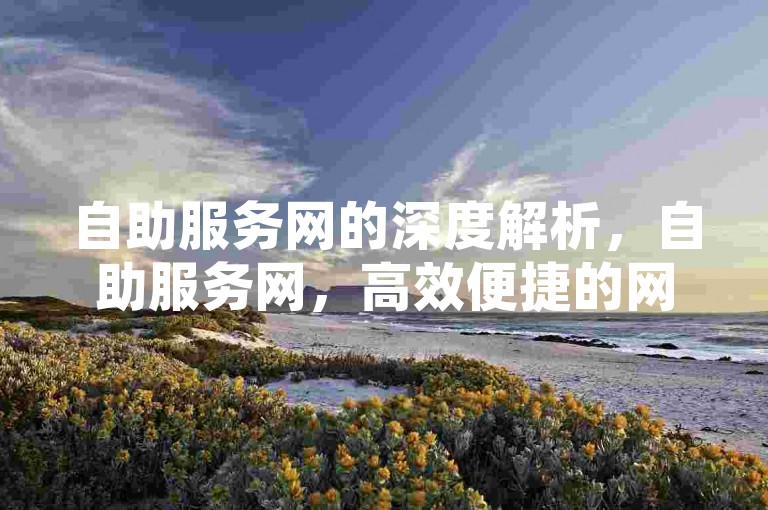 自助服务网的深度解析，自助服务网，高效便捷的网络服务平台！2025年必备技能。