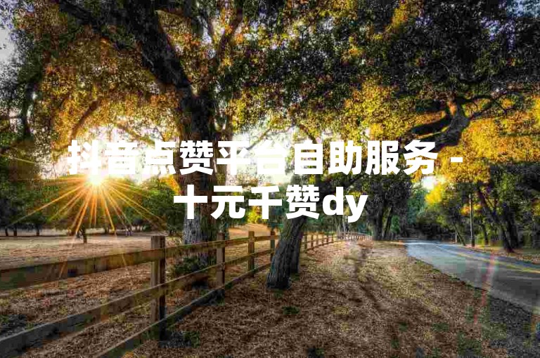 抖音点赞平台自助服务 - 十元千赞dy