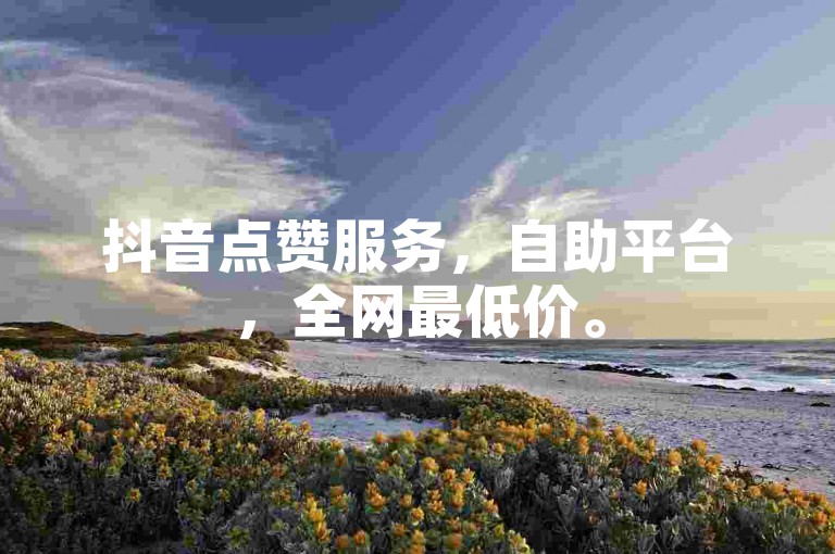抖音点赞服务，自助平台，全网最低价。