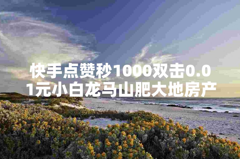快手点赞秒1000双击0.01元小白龙马山肥大地房产装修（秒赞1000！0.01元双击，快手小白龙马山肥大地房产装修攻略）