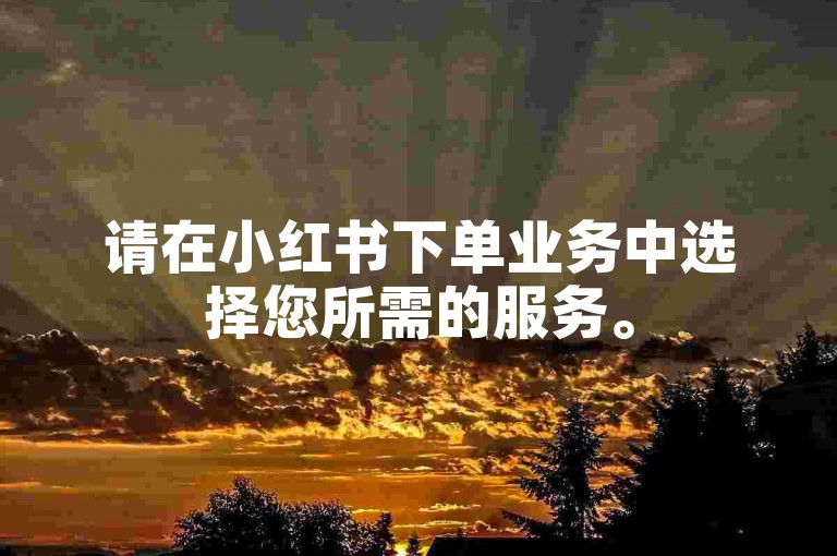 请在小红书下单业务中选择您所需的服务。