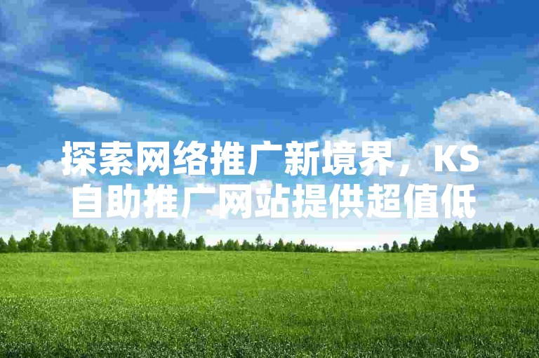 探索网络推广新境界，KS自助推广网站提供超值低价点赞服务，B站用户专享24小时无缝下单体验。