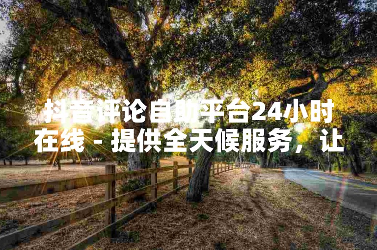 抖音评论自助平台24小时在线 - 提供全天候服务，让你的互动更加精彩！