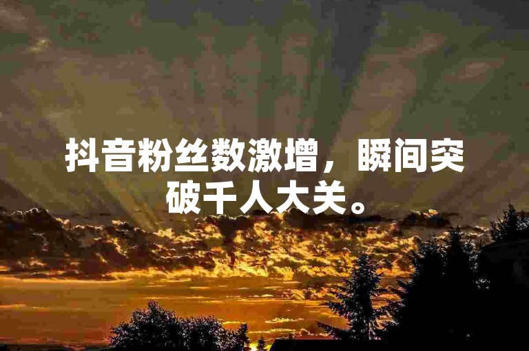 抖音粉丝数激增，瞬间突破千人大关。