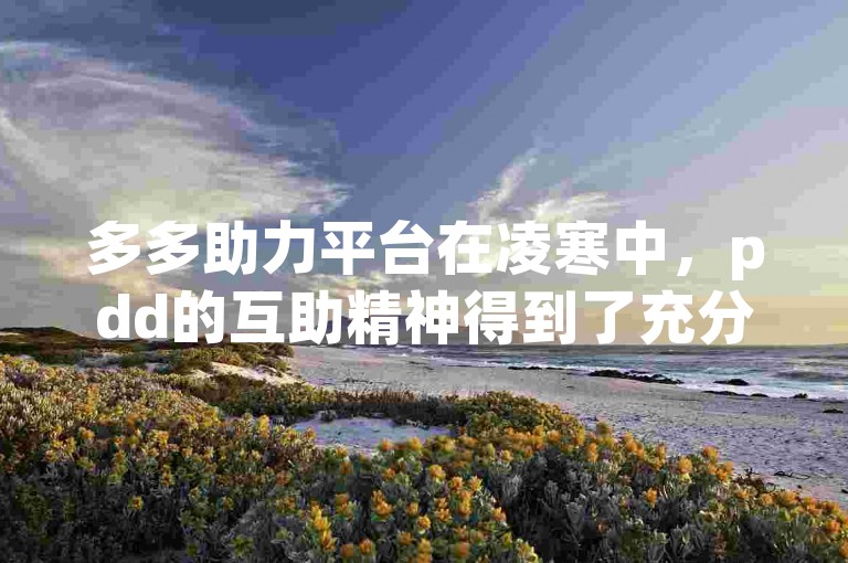 多多助力平台在凌寒中，pdd的互助精神得到了充分展现。
