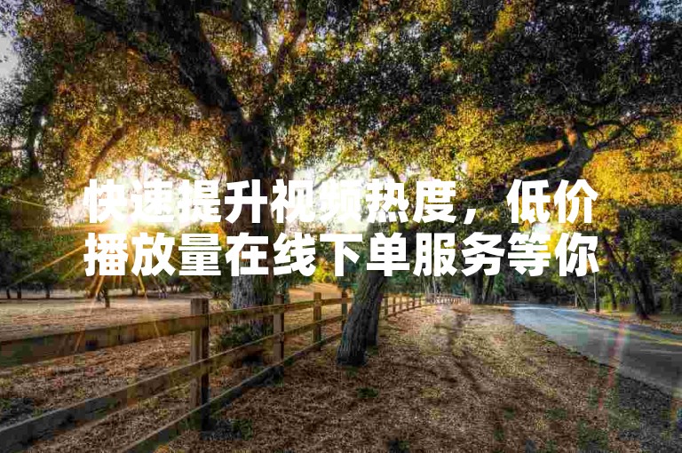 快速提升视频热度，低价播放量在线下单服务等你来体验。
