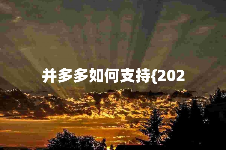 并多多如何支持{2025多多助力群}的发展？