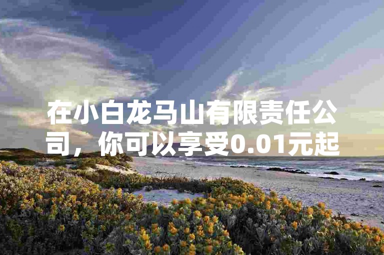 在小白龙马山有限责任公司，你可以享受0.01元起的快手热度购买服务，通过自助下单卡网轻松提升你的dy评论互动。