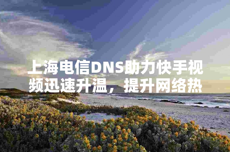 上海电信DNS助力快手视频迅速升温，提升网络热度。