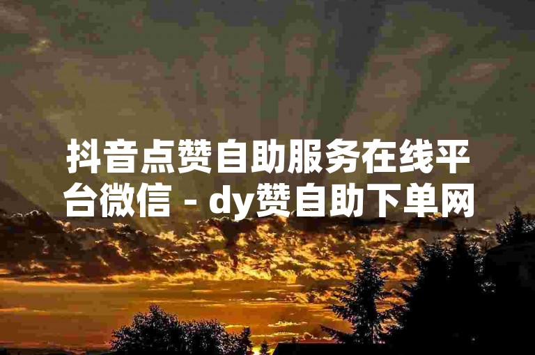 抖音点赞自助服务在线平台微信 - dy赞自助下单网站免费微信