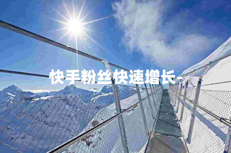 快手粉丝快速增长-500个关注者自助购买。