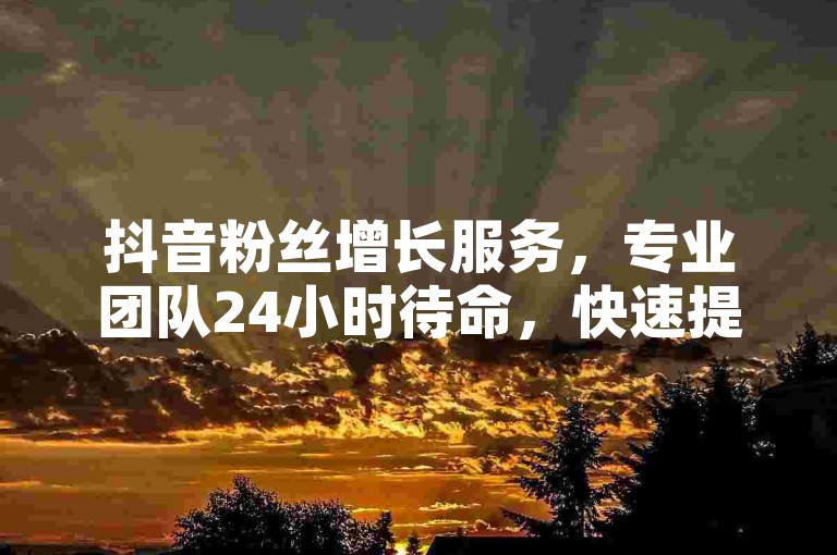 抖音粉丝增长服务，专业团队24小时待命，快速提升你的社交媒体影响力。