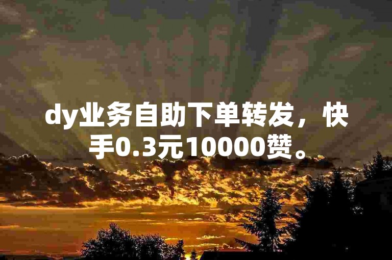dy业务自助下单转发，快手0.3元10000赞。