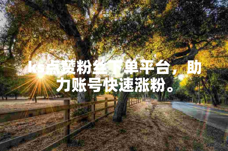 ks点赞粉丝下单平台，助力账号快速涨粉。