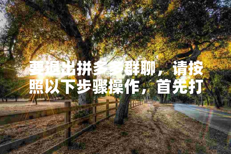 要退出拼多多群聊，请按照以下步骤操作，首先打开拼多多应用，进入聊天界面，找到并点击您想要退出的群聊，然后选择群设置或类似选项，最后点击退出群聊按钮并确认。在操作过程中，请确保您的网络连接稳定，以避免操作中断。