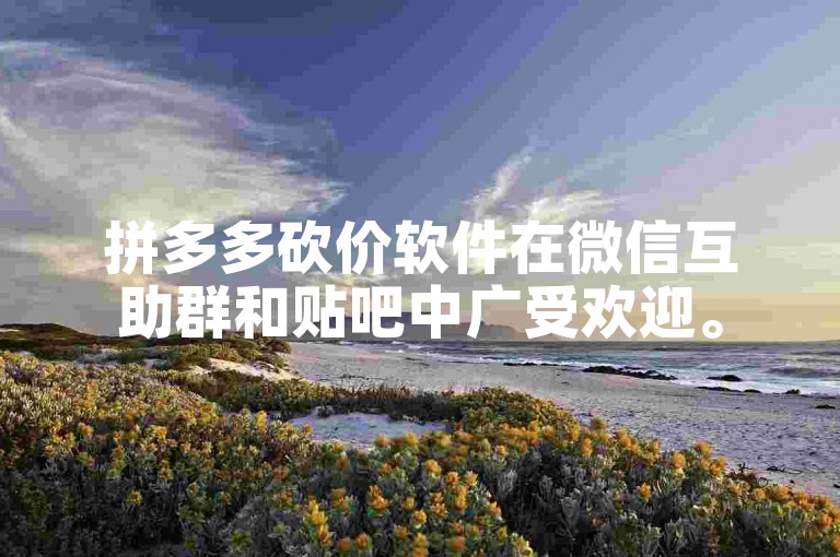 拼多多砍价软件在微信互助群和贴吧中广受欢迎。