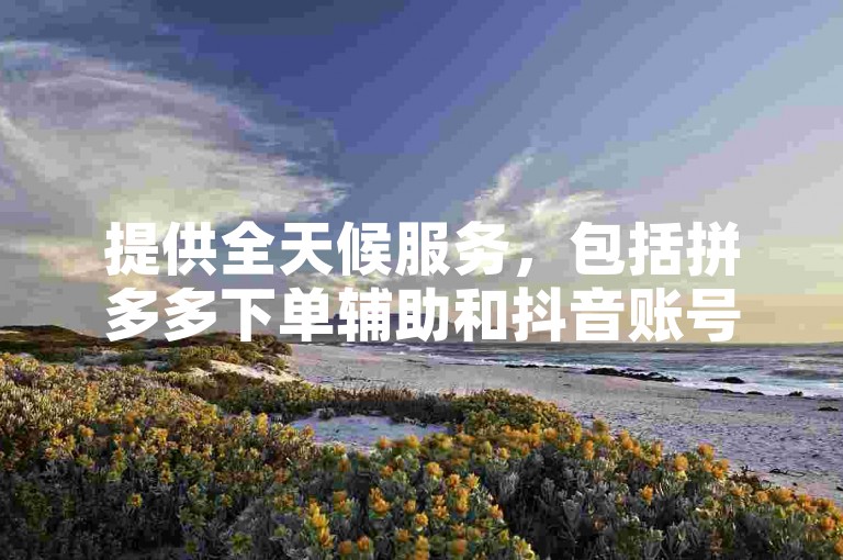 提供全天候服务，包括拼多多下单辅助和抖音账号交易。
