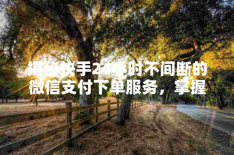揭秘快手24小时不间断的微信支付下单服务，掌握2024年必备技能！