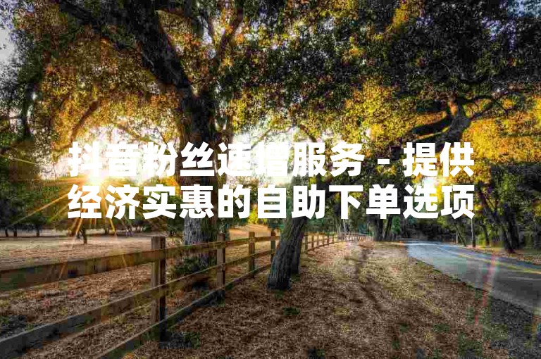 抖音粉丝速增服务 - 提供经济实惠的自助下单选项，助力账号快速成长。