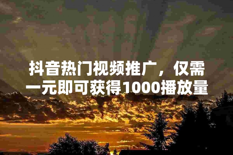 抖音热门视频推广，仅需一元即可获得1000播放量 - 全网最低价的dy下单平台，自助点赞服务最便捷。