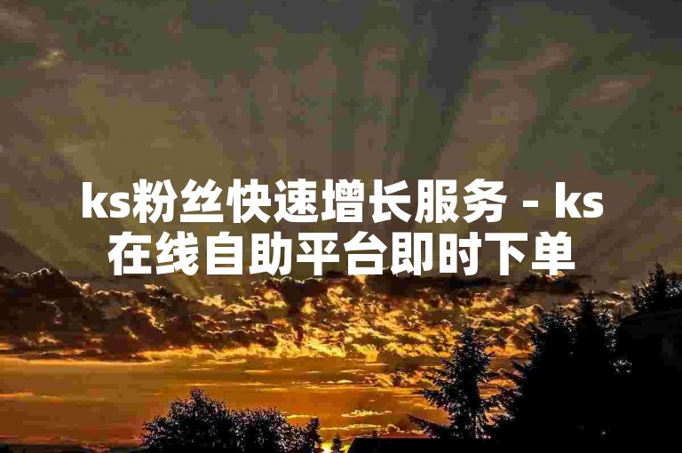 ks粉丝快速增长服务 - ks在线自助平台即时下单