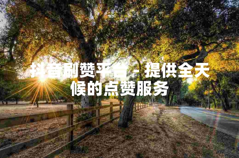 抖音刷赞平台 - 提供全天候的点赞服务