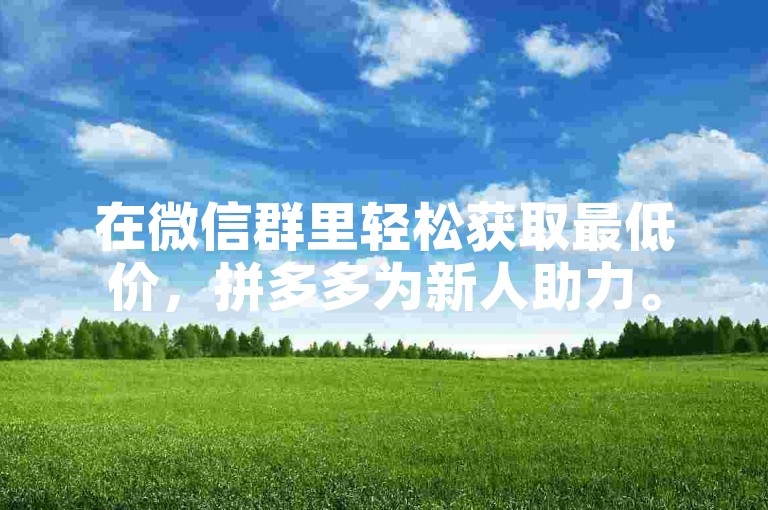 在微信群里轻松获取最低价，拼多多为新人助力。