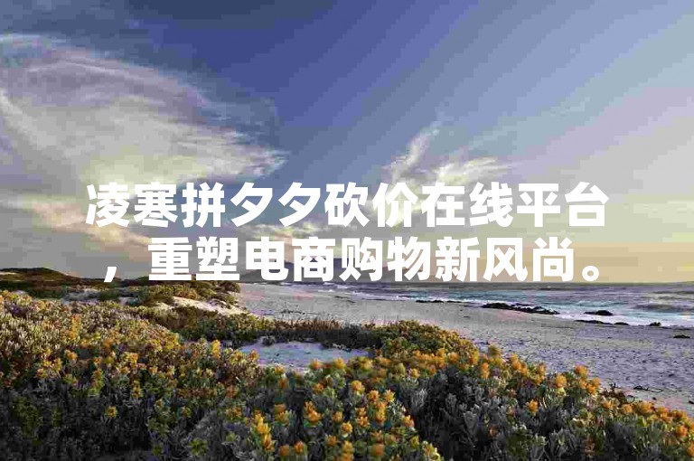 凌寒拼夕夕砍价在线平台，重塑电商购物新风尚。