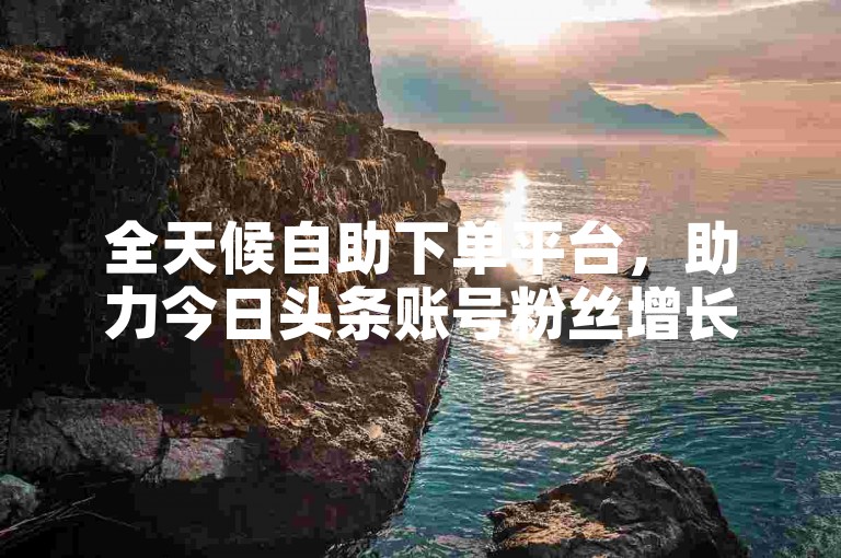 全天候自助下单平台，助力今日头条账号粉丝增长。