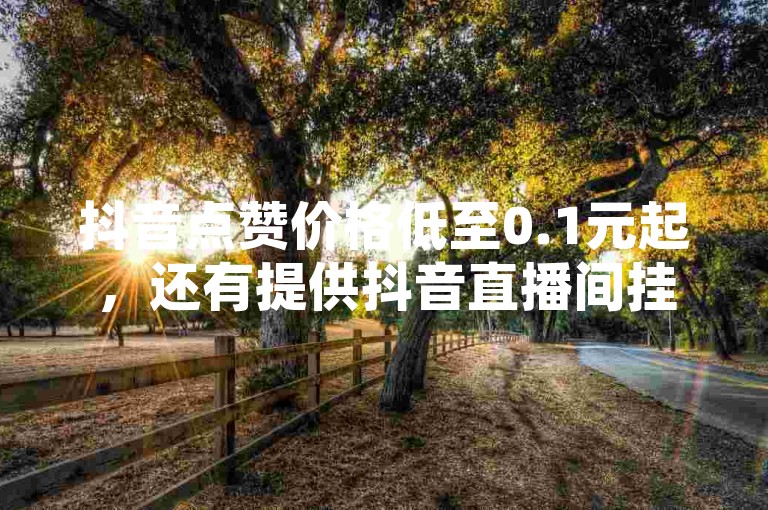 抖音点赞价格低至0.1元起，还有提供抖音直播间挂人服务的网站。