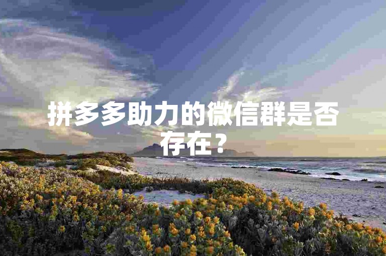 拼多多助力的微信群是否存在？