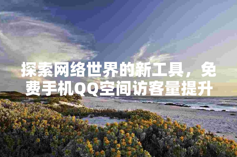 探索网络世界的新工具，免费手机QQ空间访客量提升应用，现已在快手24小时自助下单平台上线。