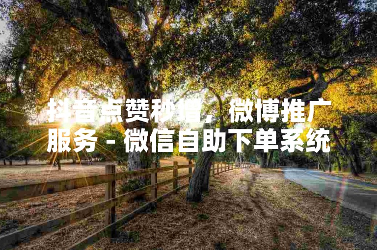 抖音点赞秒增，微博推广服务 - 微信自助下单系统 - 5元提升抖音粉丝量。