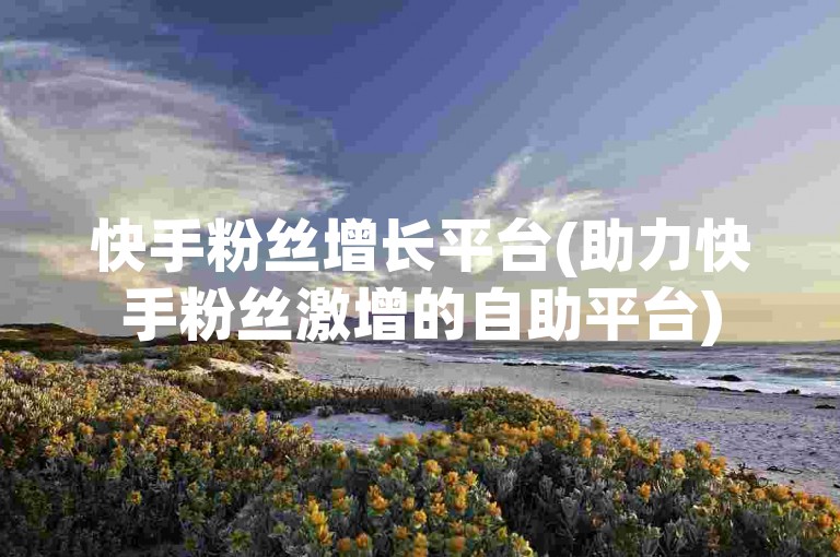 快手粉丝增长平台(助力快手粉丝激增的自助平台)