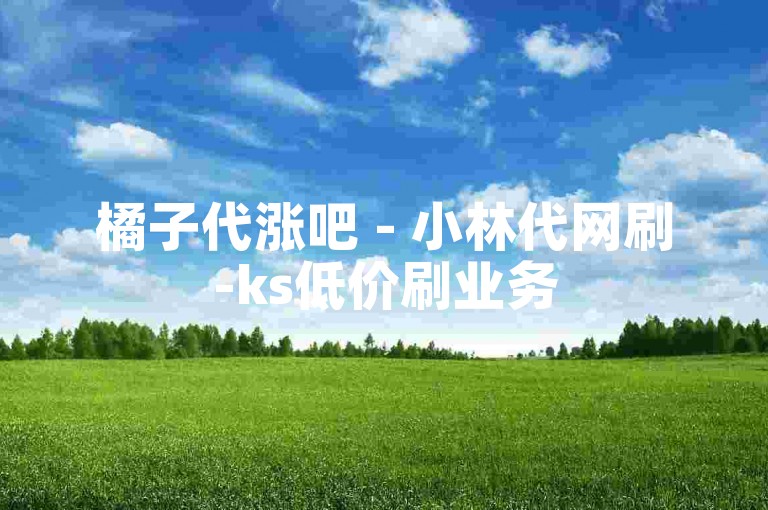 橘子代涨吧 - 小林代网刷-ks低价刷业务