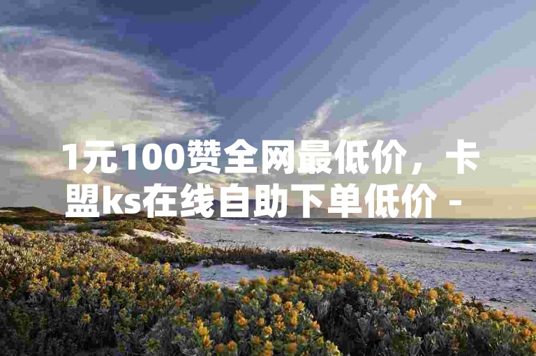 1元100赞全网最低价，卡盟ks在线自助下单低价 - dy免费24小时下单平台 - 彩虹云商城网站。