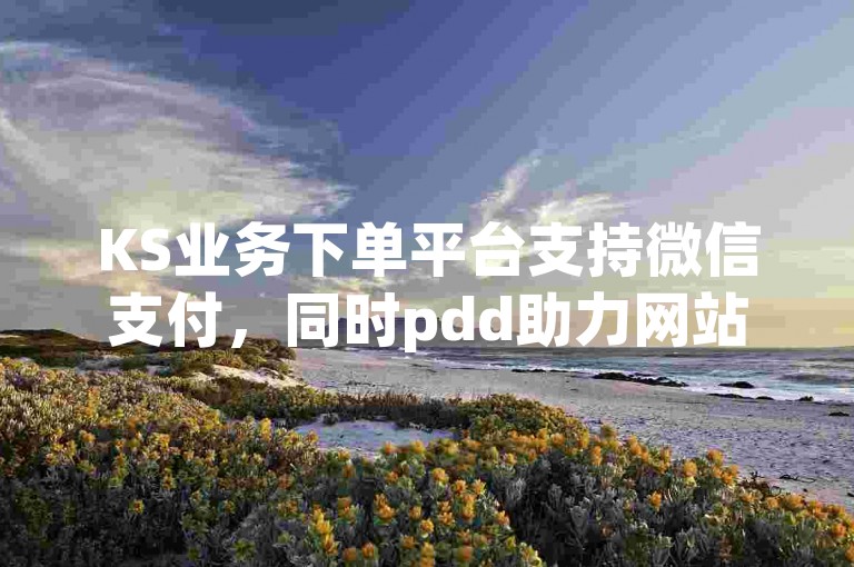 KS业务下单平台支持微信支付，同时pdd助力网站提供额外服务。