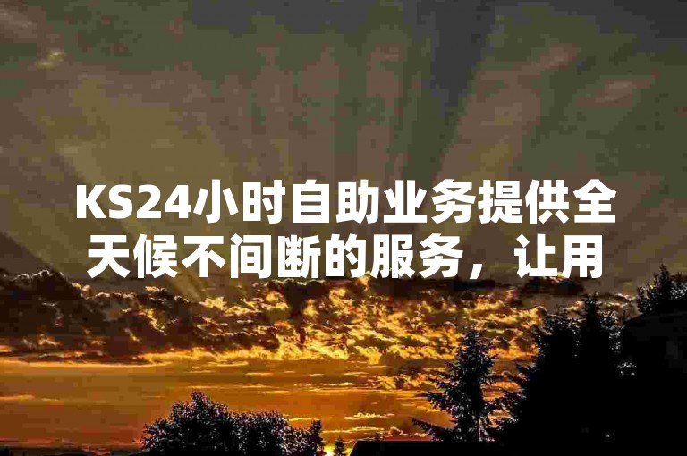 KS24小时自助业务提供全天候不间断的服务，让用户随时都能享受到便捷的金融服务。
