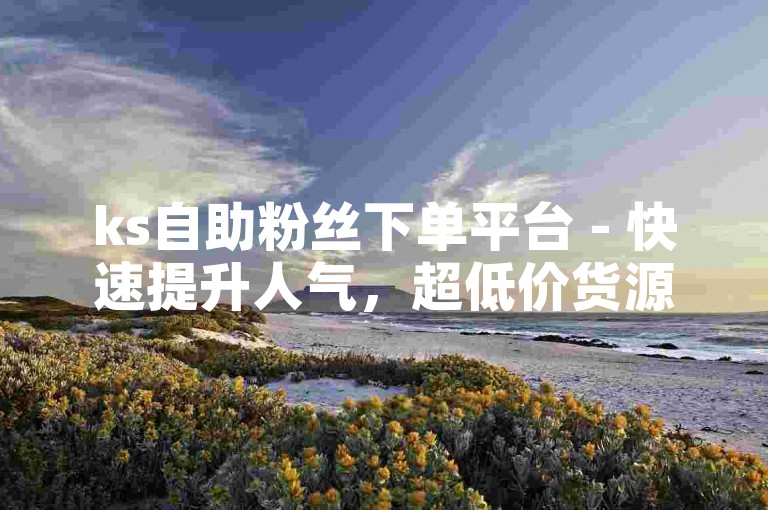 ks自助粉丝下单平台 - 快速提升人气，超低价货源自助下单ks。