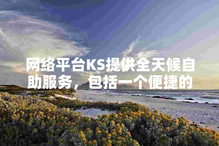 网络平台KS提供全天候自助服务，包括一个便捷的24小时自助下单软件。