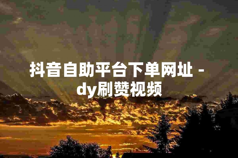 抖音自助平台下单网址 - dy刷赞视频